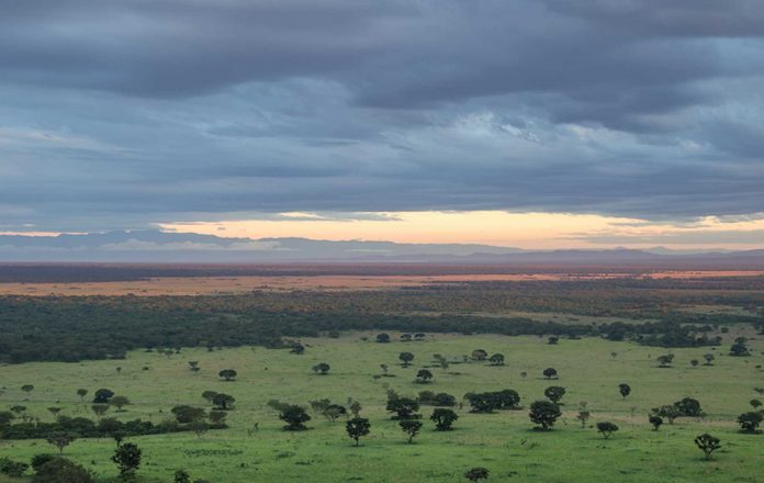 Uganda Safari Parks