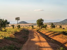 Tips for Driving Safely in Uganda