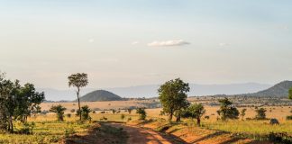 Tips for Driving Safely in Uganda