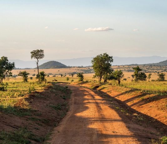 Tips for Driving Safely in Uganda