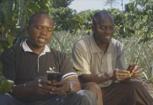 How Ensibuuko is building ICT-Mobile solutions for the underserved rural Poor