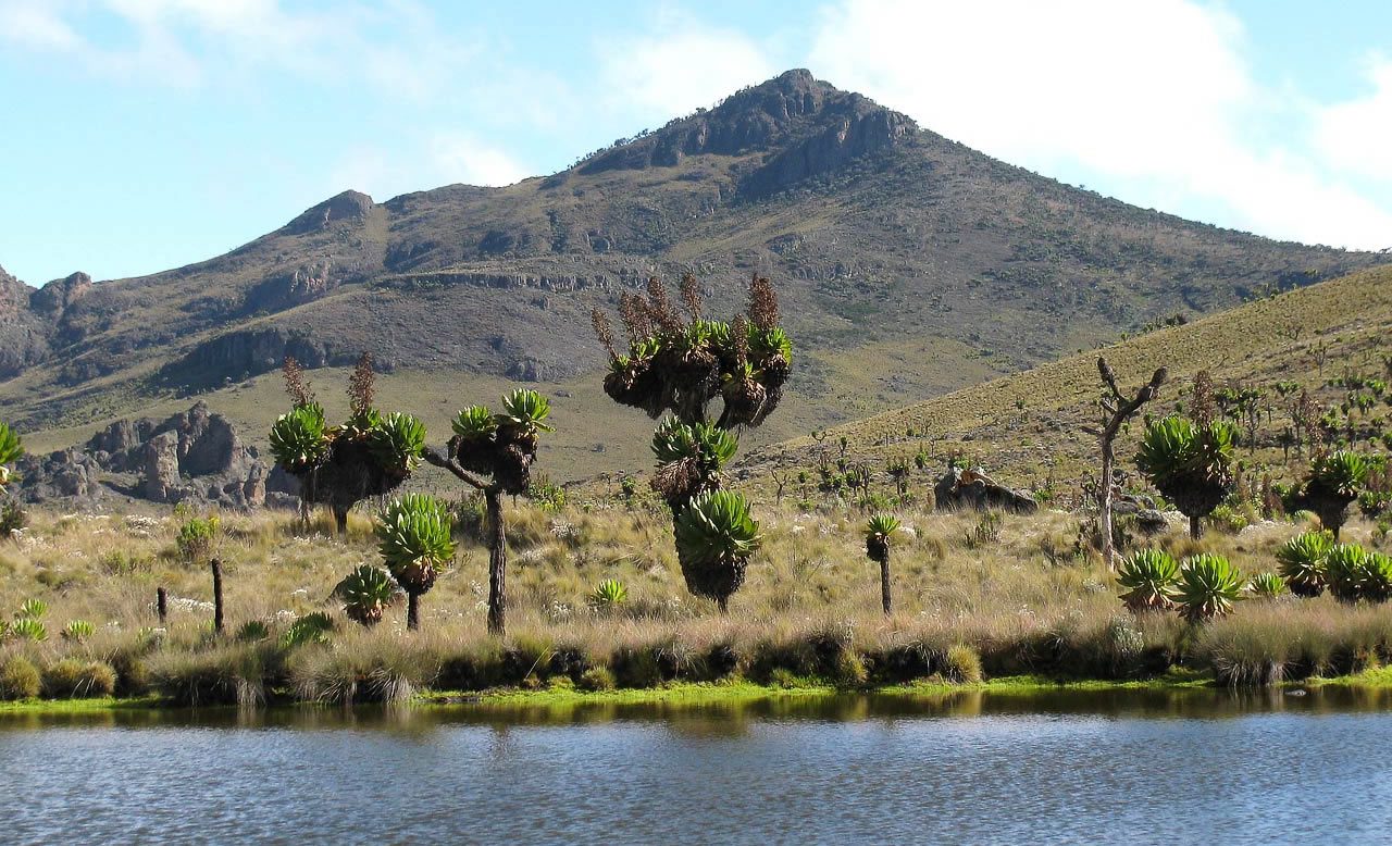 Mount Elgon