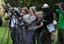 Birding In Uganda: Your Quick Three-Point Guide African Birding Expo