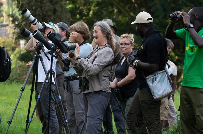 African Birding Expo