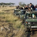 Things to Do in East Africa East Africa Safari
