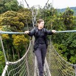 Journey to Explore Rwanda’s National Parks canopy in Nyungwe NP