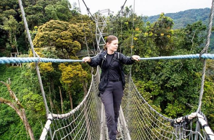 canopy in Nyungwe NP