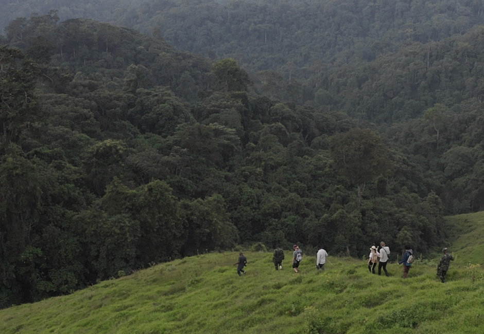 Gishwati Nature Walk