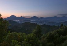 Gorilla Trekking in Nkuringo Nkuringo Sector of Bwindi
