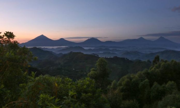 Nkuringo Sector of Bwindi