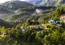 Gorilla Trekking in Rushaga Sector of Bwindi Rushaga Sector of Bwindi