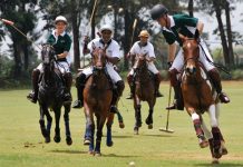 Polo: The Sport of Kings in Uganda Polo in Uganda