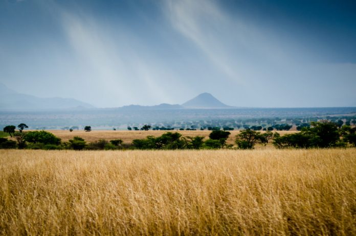 Kidepo Wilderness