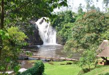 8 Natural Attractions Not to Miss in Uganda Sezibwa Falls