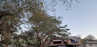 Renting a Car with Rooftop Tent, All you need to Know